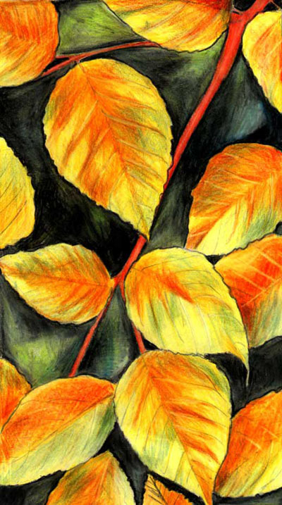 painting-dry leaves